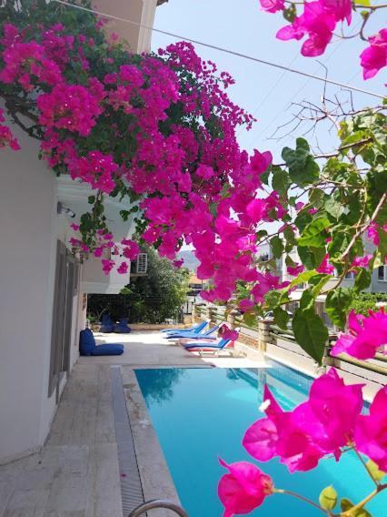 Selenya Apart Marmaris Ngoại thất bức ảnh